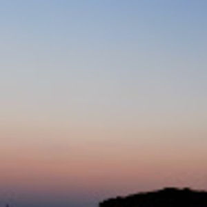 Meet your Posher, Alice